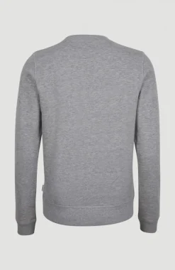 Circle Surfer Crew Sweatshirt | Silver Melee