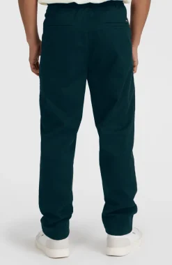 Essentials Chinobroek | Alma Steel