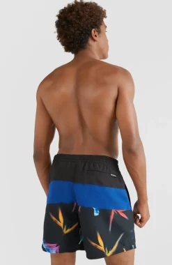 Frame Block Swim Short | Blue Multi 6
