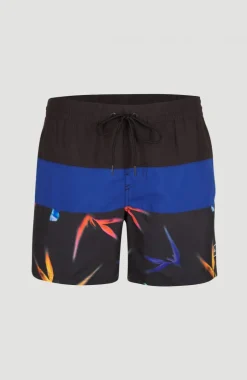 Frame Block Swim Short | Blue Multi 6