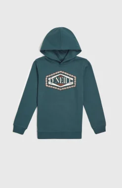Front Print Hoodie | Alma Steel