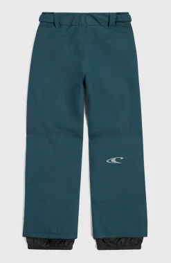 Hammer Wintersportbroek | Alma Steel