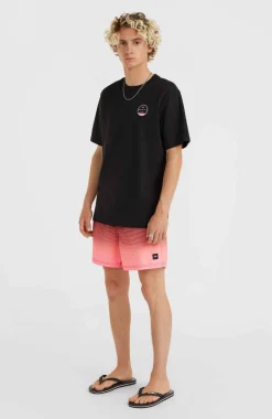 Jack O'Neill Cali Gradient 15