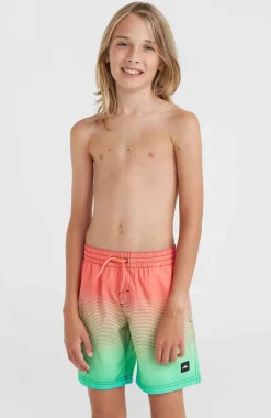 Jack O'Neill Cali Gradient 14