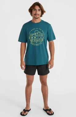 Jack O'Neill Vert 14'' Zwembroek | Black Out