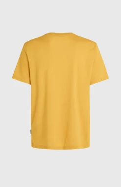 O'Neill Hybrid Logo Polygiene T-shirt | Golden Haze