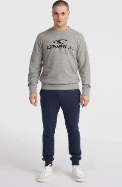O'Neill Logo Crew Sweater | Silver Melee