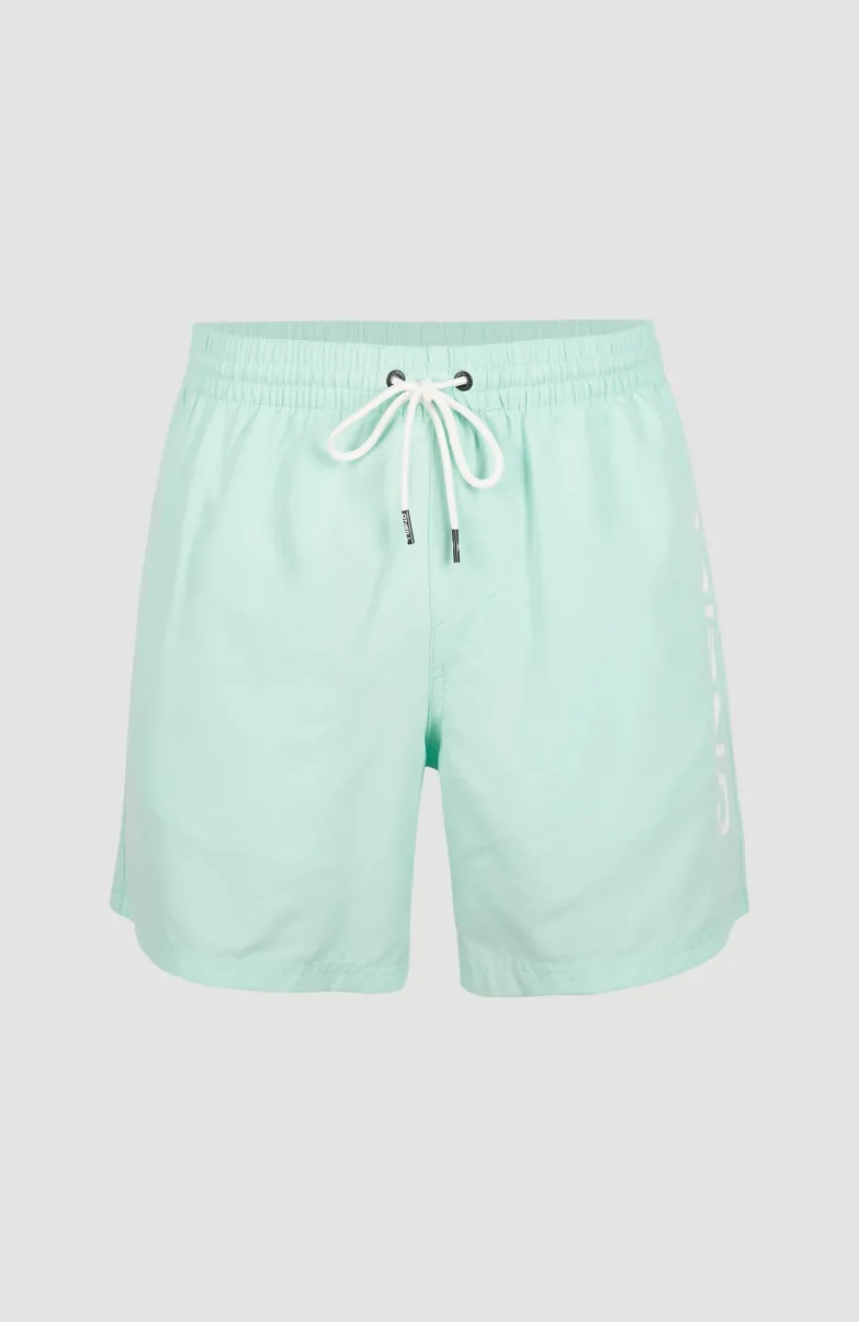 Zwemshort Cali 16'' | Beach Glass