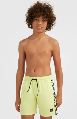 Zwemshort Cali Panel 14'' | Sunny Lime Colour Block
