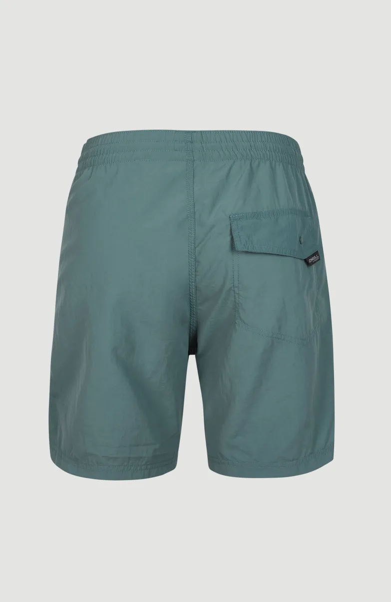 Zwemshort Vert 16'' | North Atlantic